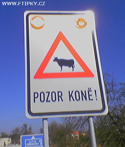 Pozor koně